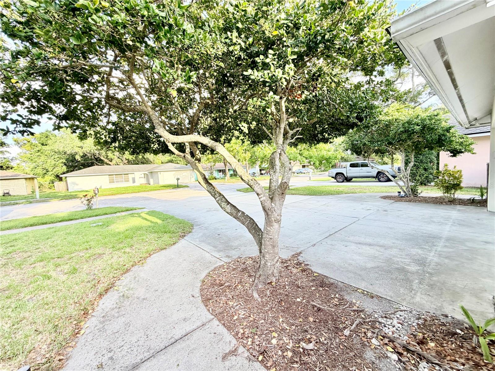 1880 OAK FOREST DRIVE E