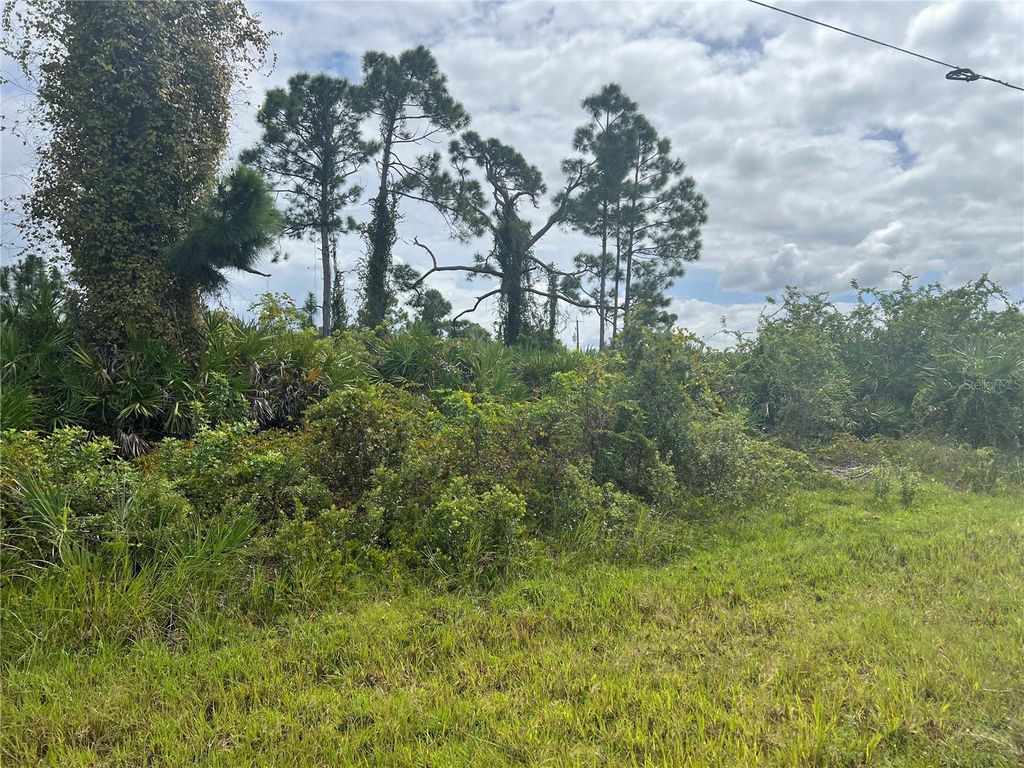 Photo of 8178 Dimstead Street, Port Charlotte, FL 33981 (MLS # A4668286)