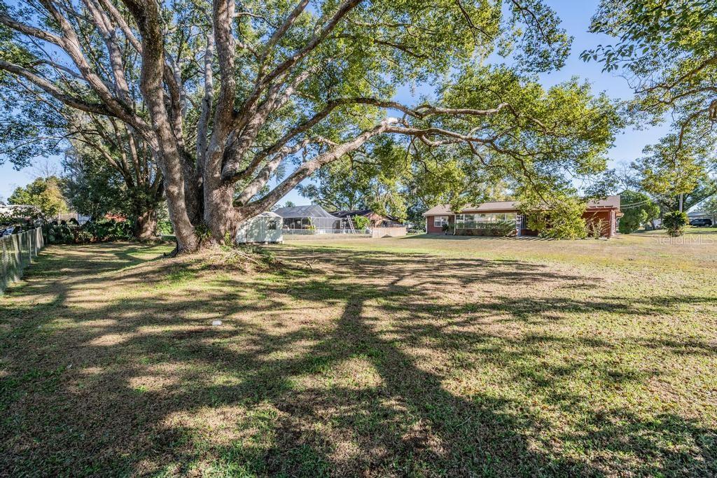 FORT KING ACRES - Residential