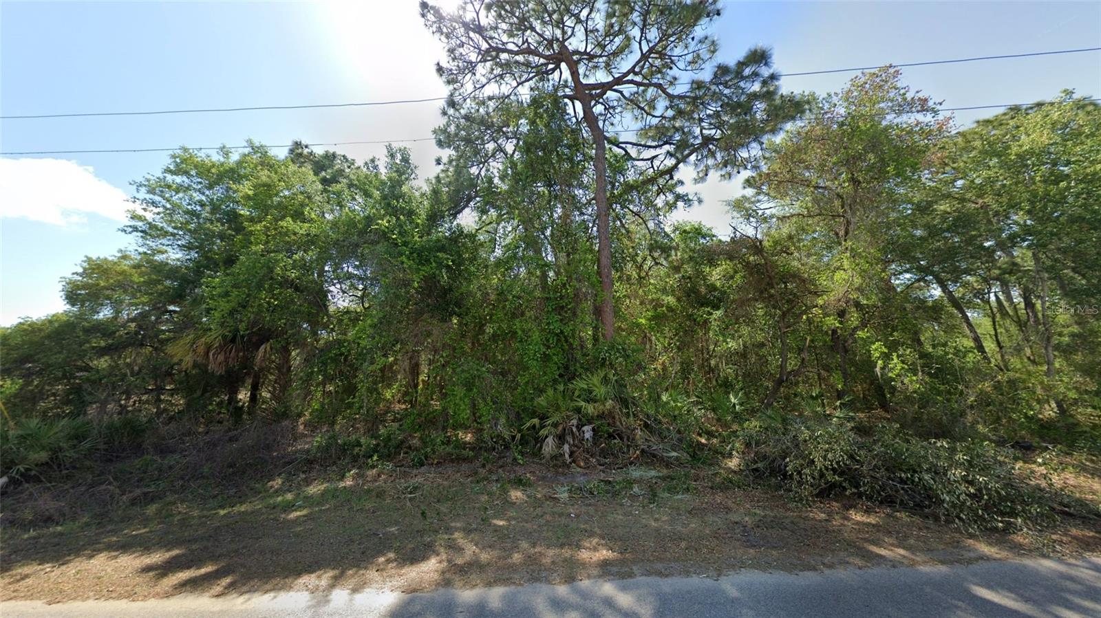 Tucked away in the desirable Heritage Hills community, this rare 1.13-acre wooded lot offers an exceptional blend of seclusion, natural beauty, and everyday convenience. With paved road access and residential zoning that allows for mobile homes, it’s the perfect canvas for your custom home, vacation escape, or investment property. Centrally located in Citrus County, you'll be just minutes from Florida’s most iconic natural attractions—Homosassa River, Homosassa Springs State Park, Crystal River, and Rainbow River—renowned for their crystal-clear waters, boating, manatee encounters, and outdoor adventures. Enjoy peaceful surroundings with easy access to shopping, dining, and recreation. This is your chance to own a tranquil piece of Florida’s Nature Coast—don’t let it slip away!