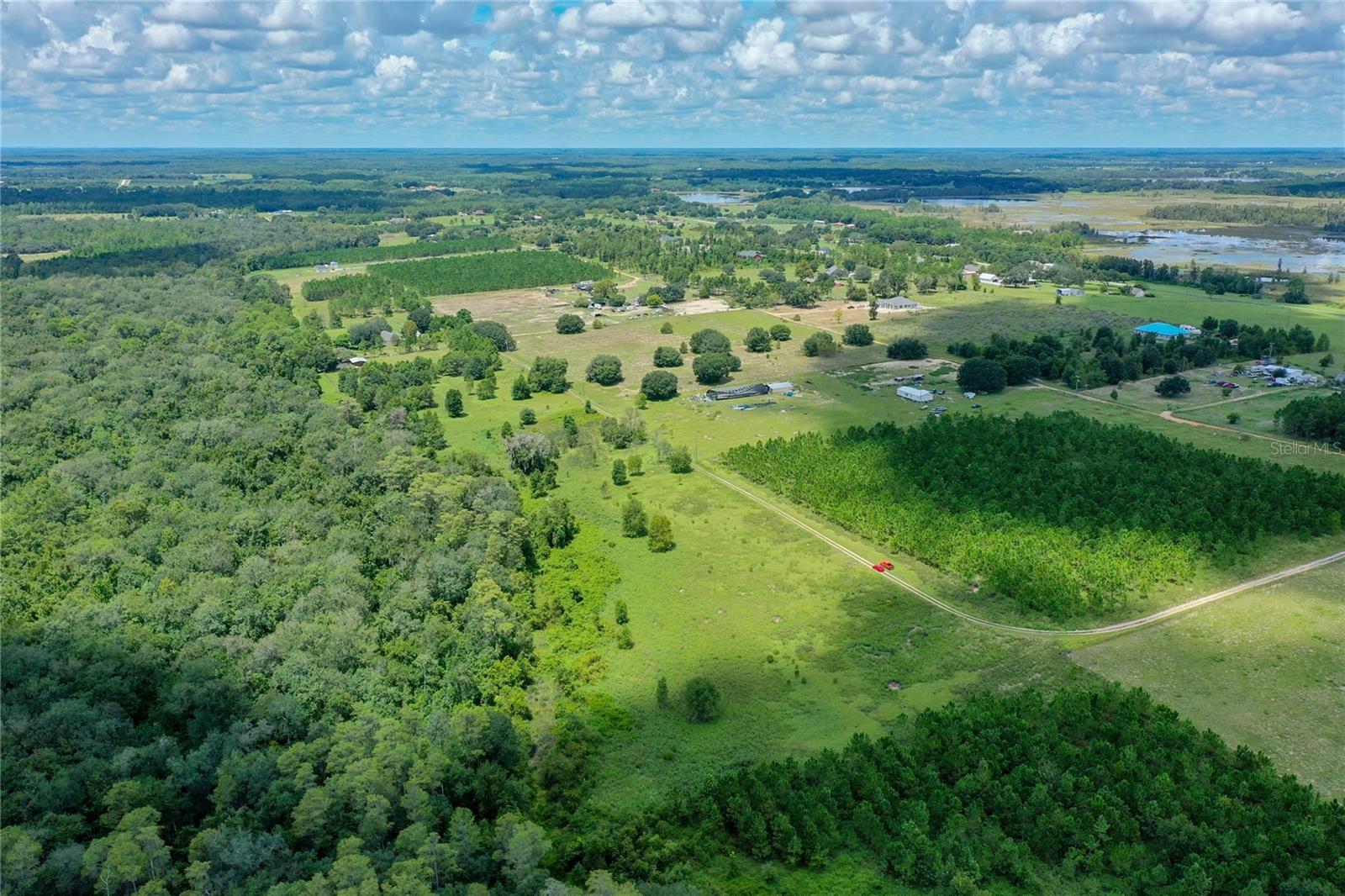 12.9 Acres for the Horse lovers or Farm animals, this property is an ideal place to build, no rear neighbors due to conservation area part of Green Swamp regulations.A creek in the conservation area along backside. There was a previous resident which paid impact fees, well on property may need a new pump, septic tank on property ( owner doesn't know condition). Come see this hidden piece of land that is hard to find in Clermont.