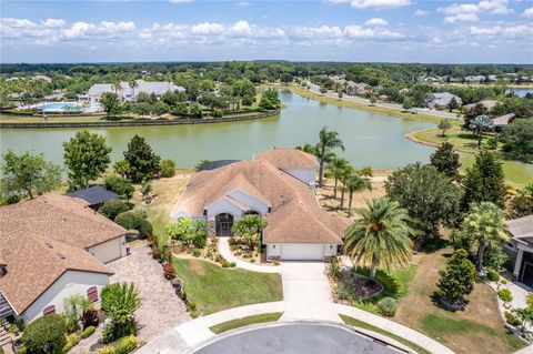 A home in MOUNT DORA