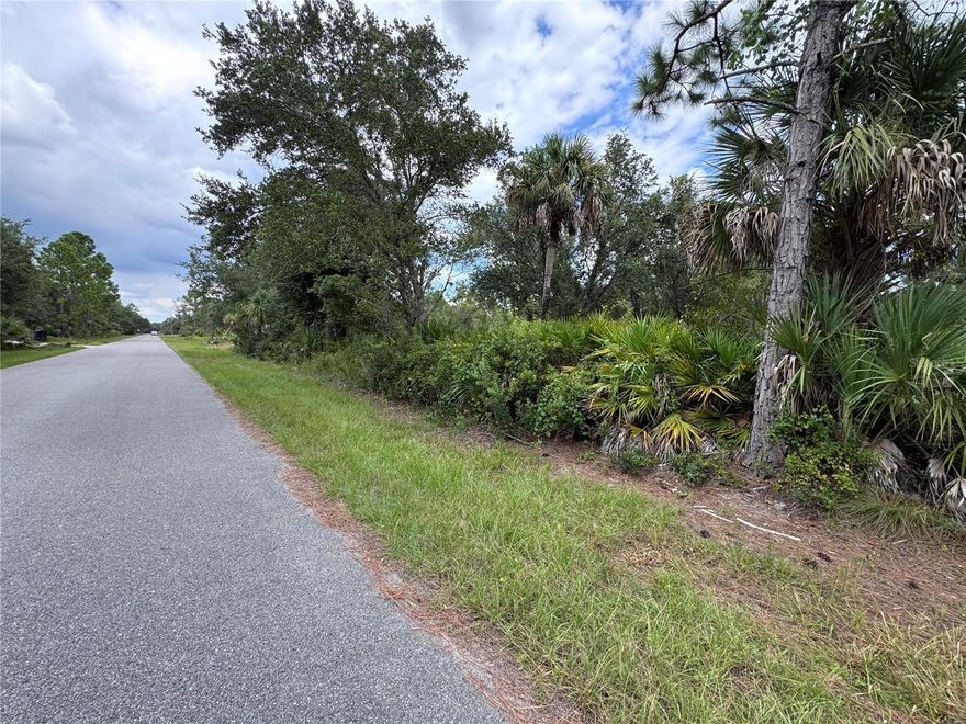 This 10,000 sqft lot is NOT in Flood Zone and NOT Wetland according to public sites. Owner never inquired official studies on the lot.