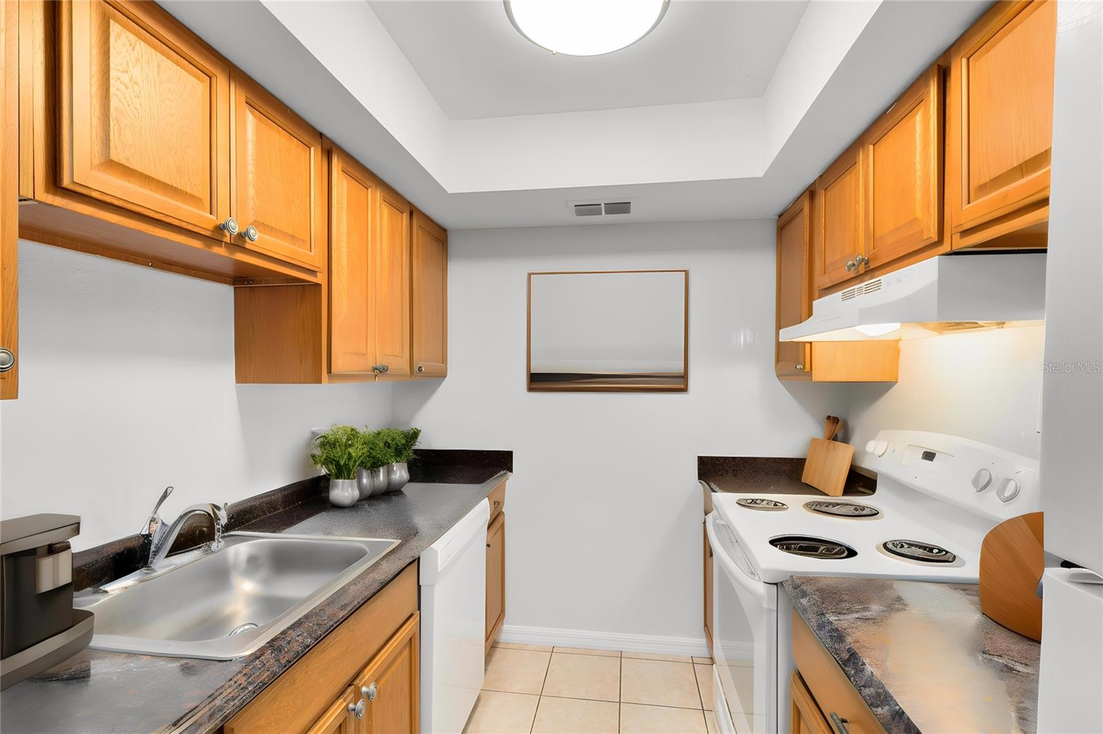 BUENA VISTA DEV - Residential Lease