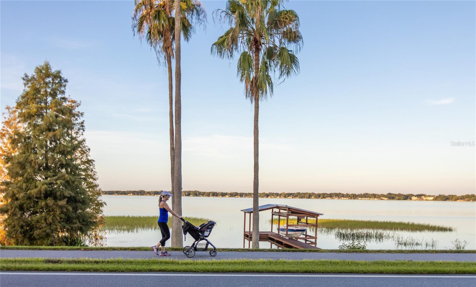 BUENA VISTA DEV - Residential Lease