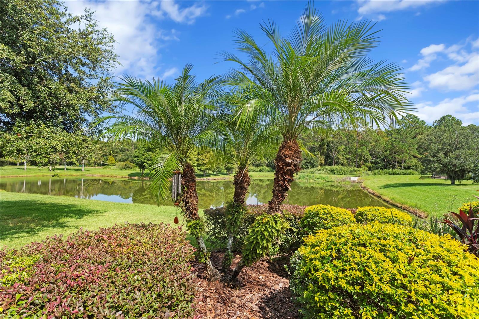 LIVE OAK PRESERVE PH 2B-VIL - Residential