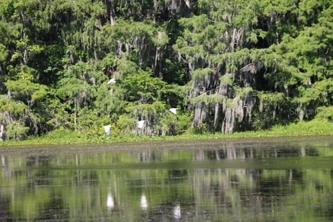 A home in LAKE PANASOFFKEE