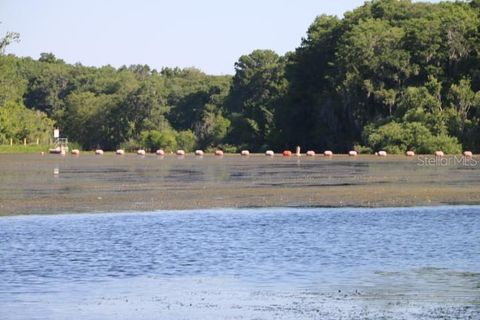 A home in LAKE PANASOFFKEE