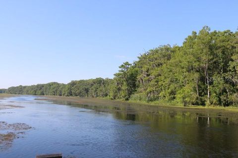 A home in LAKE PANASOFFKEE