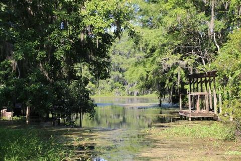 A home in LAKE PANASOFFKEE