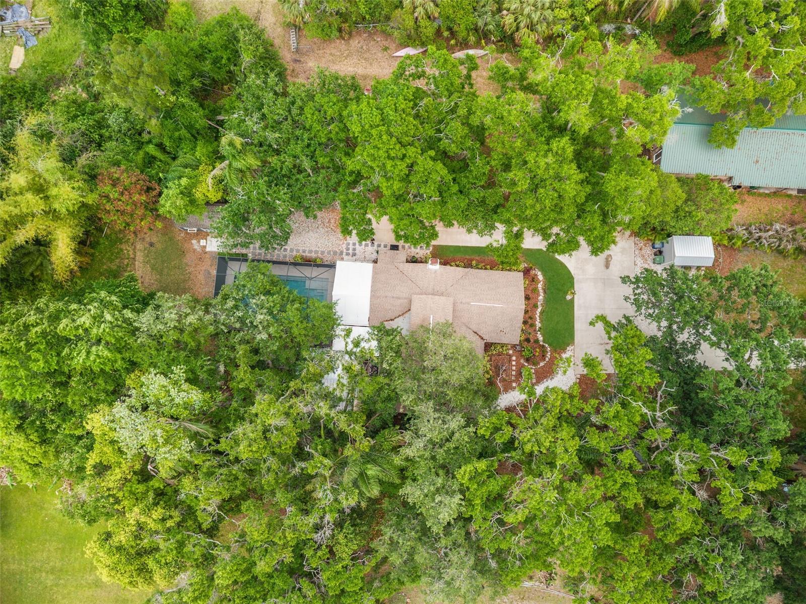 IDLEWILD ON HILLSBOROUGH - Residential