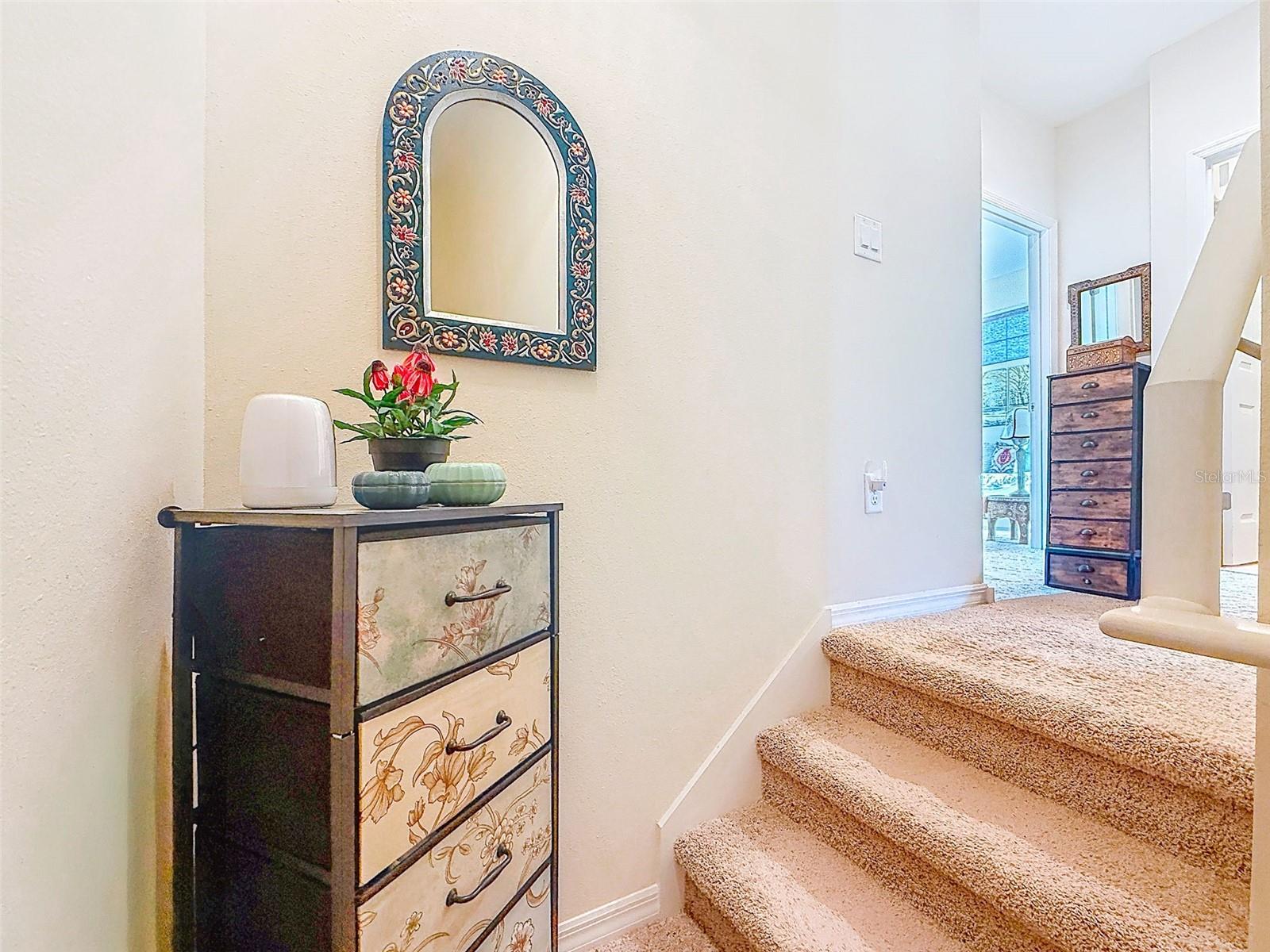 ECOVILLAGE DUNEDIN - Residential