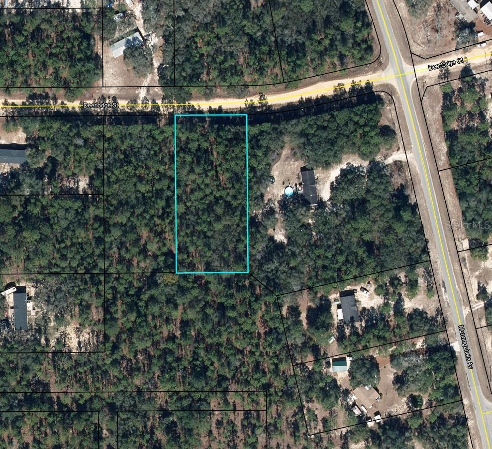 Photo of 5615 Deerlodge Street, Keystone Heights, FL 32656 (MLS # TB8559200)