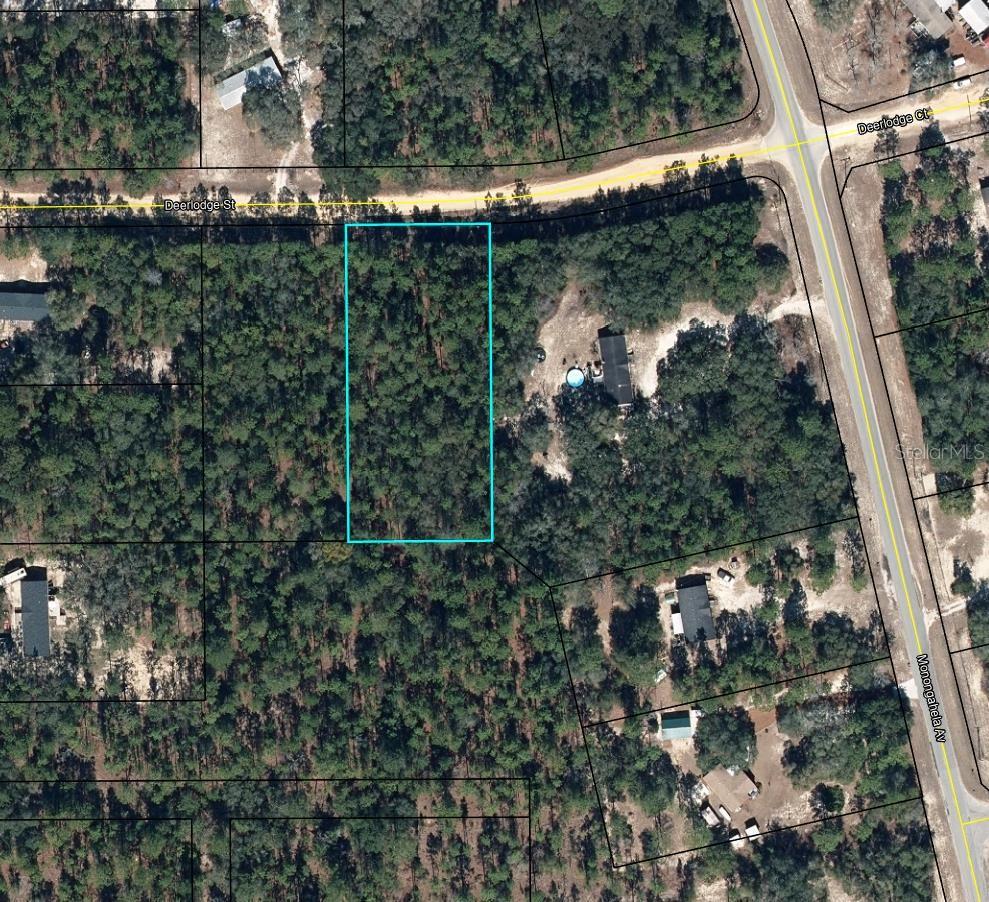 Photo of 5615 Deerlodge Street, Keystone Heights, FL 32656 (MLS # TB8559200)