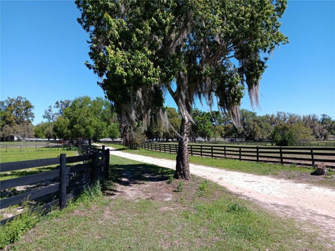 Photo of 2630 NW 140th Street, Citra, FL 32113 (MLS # OM731326)
