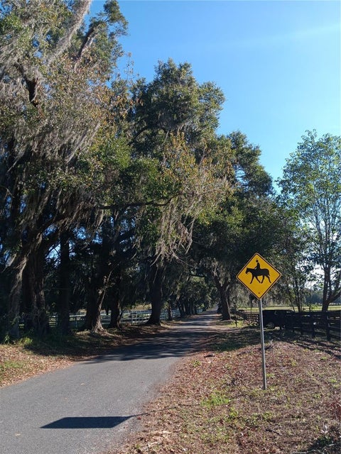 Tiny photo for 2630 NW 140th Street, Citra, FL 32113 (MLS # OM731326)