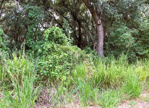 AVALON ROAD WINTER GARDEN FL 34787