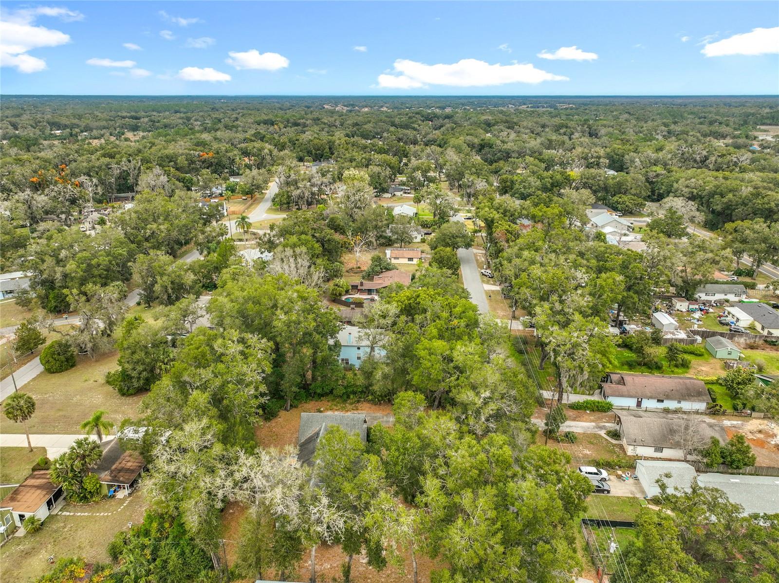 MOUNT PLYMOUTH - Residential