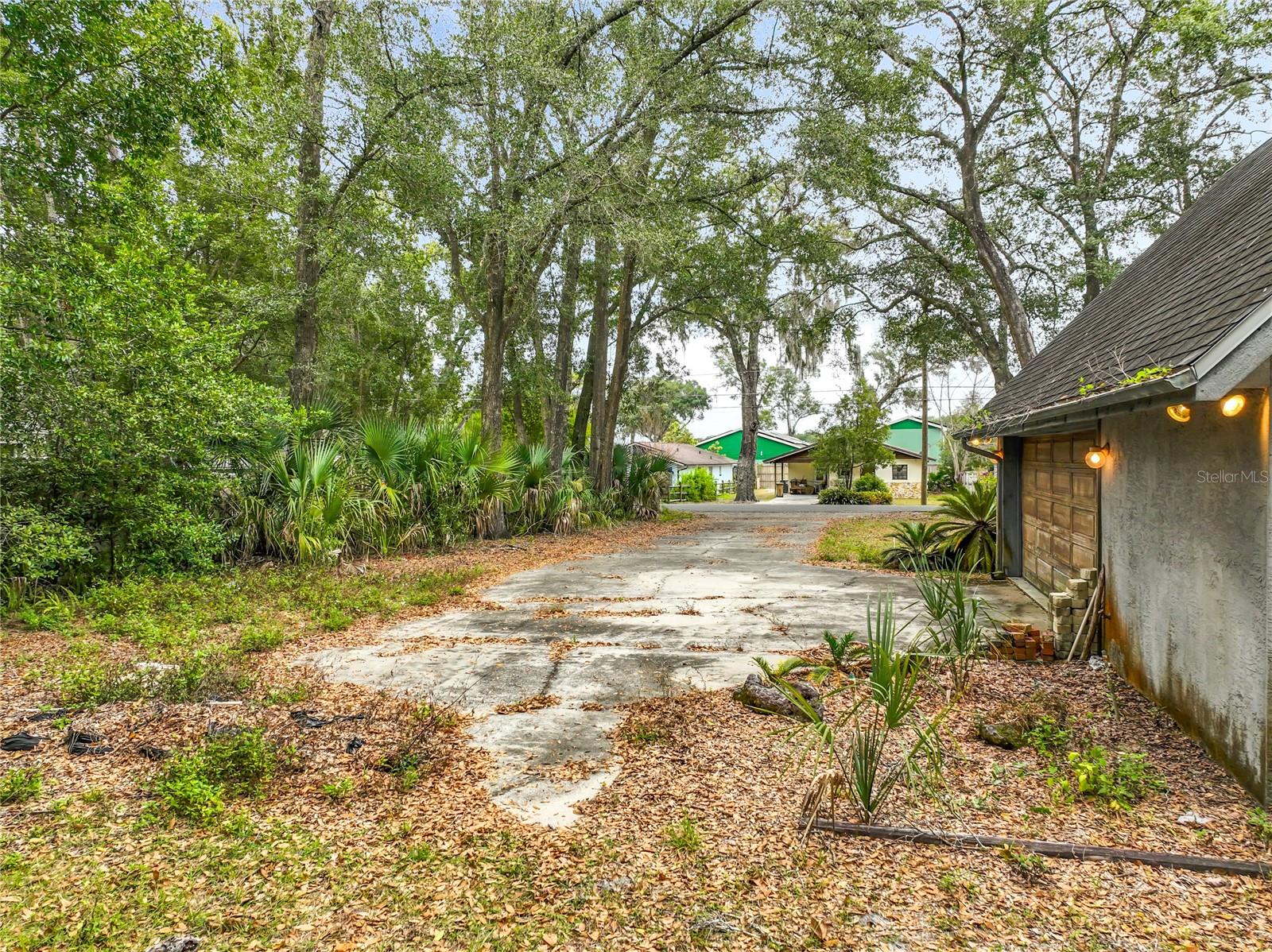 MOUNT PLYMOUTH - Residential