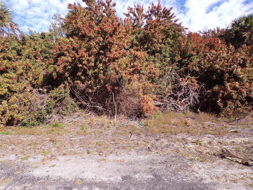 Photo of Crimsonglory Road, North Port, FL 34288 (MLS # C7521417)