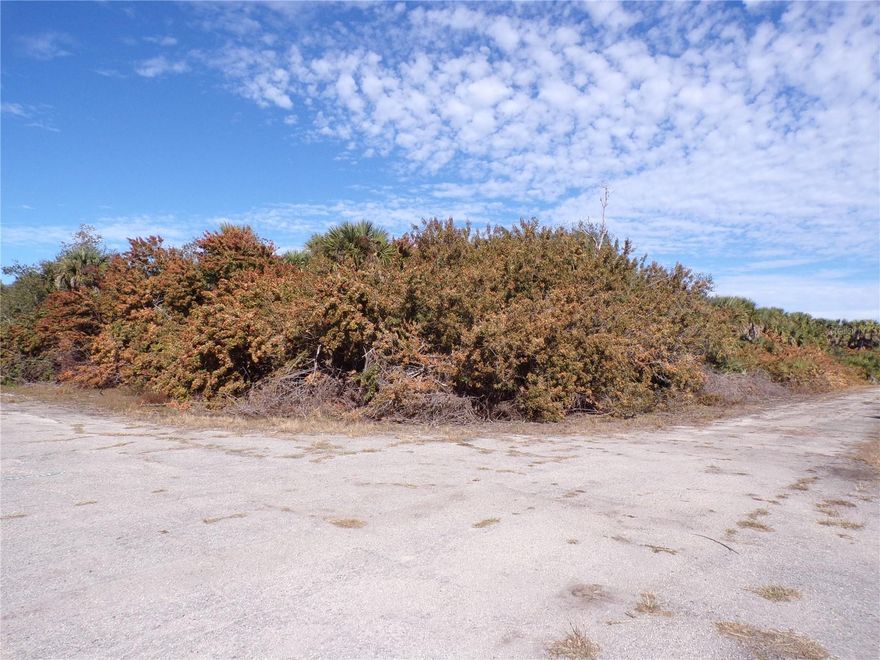 This Oversized corner lot is just over 1/3rd acre, on a quiet street, that would be a great place to build your dream home and retire or raise your family. Less than 6 miles to I75 makes this location an easy commute to almost anywhere, and only 28 miles to Venice Pier and Beach with amazing sunsets, 11 miles to Cocoplum Village Shops with lots of shopping and dining options. Atlanta Braves spring training and the fairgrounds are just minutes away, also multiple golf courses and some of the best boating and fishing in all of Florida. Red Soxs, Orioles, Twins and Rays spring training all within an hour’s drive. Buyer and buyers’ reps are responsible for determining environmental conditions and endangered species restrictions. This lot is priced to sell so please call for availability! This lot is at a great price point for the investor call today.