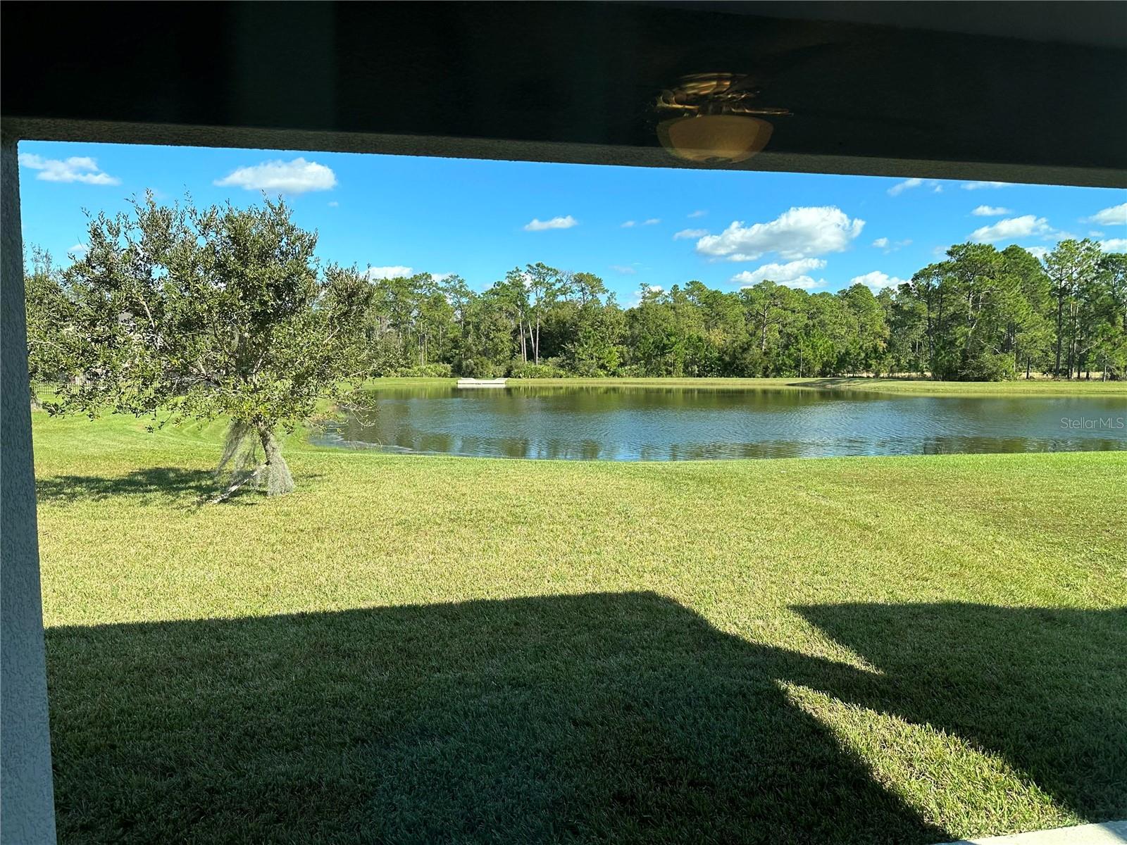 10774 CABBAGE TREE LOOP