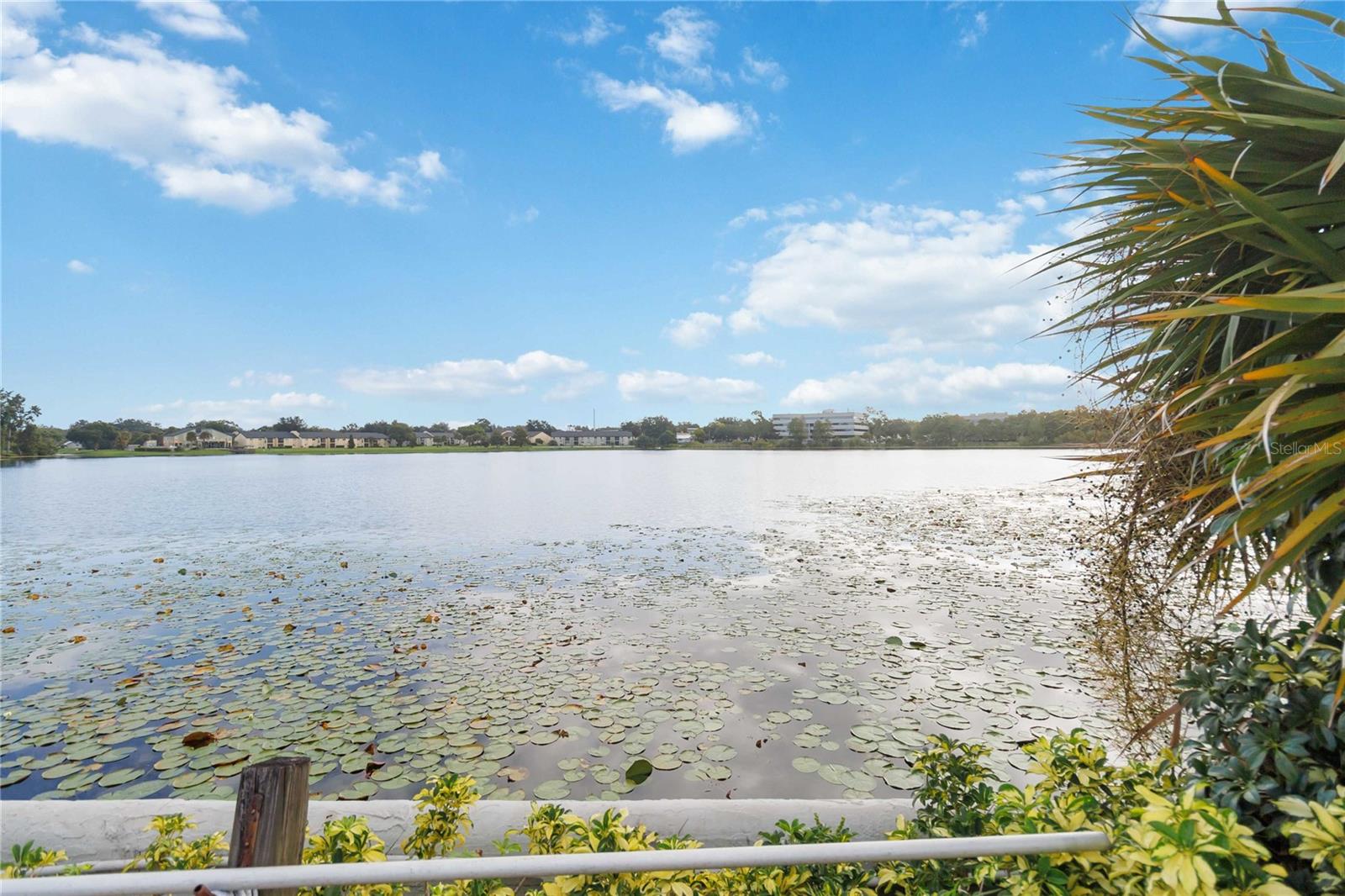 SUN BAY CLUB CONDO - Residential