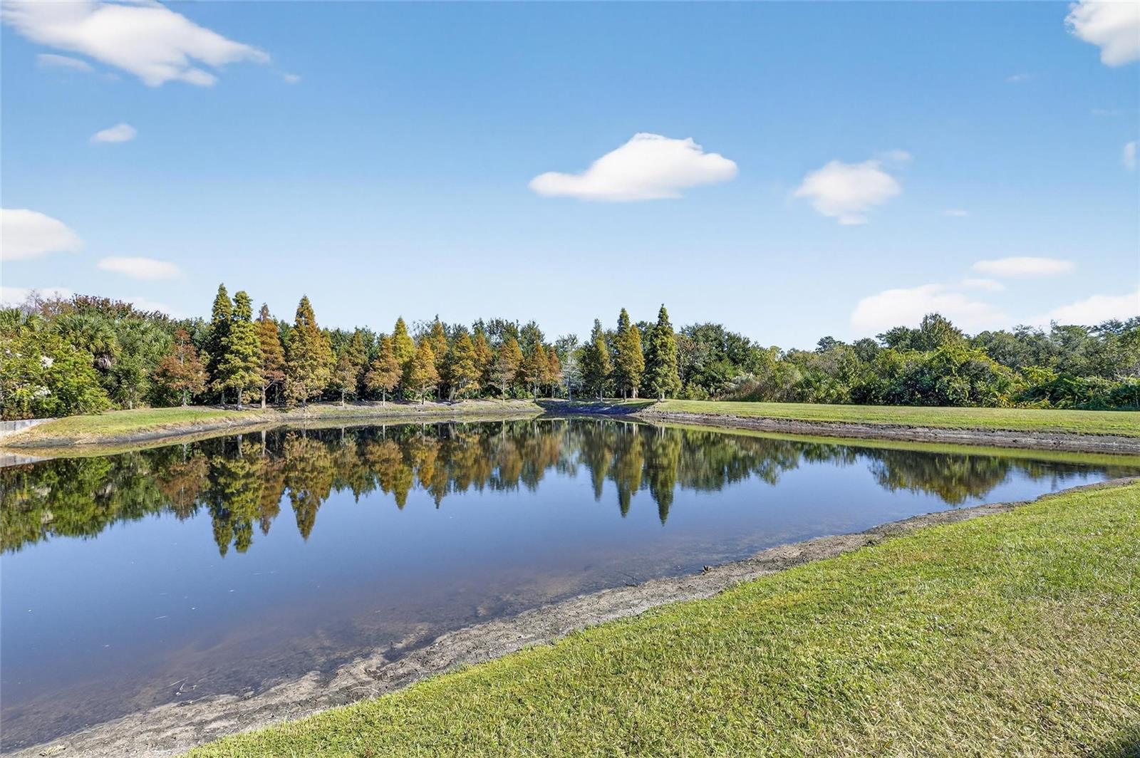 EAGLE PALM PH 4A - Residential