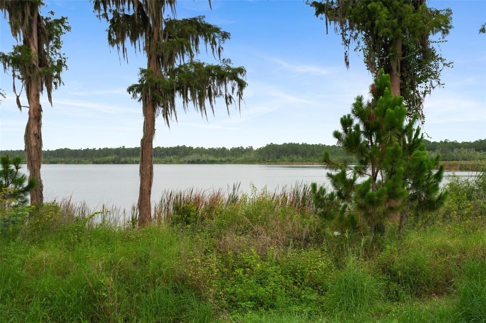 WINDERMERE TRAILS - Residential