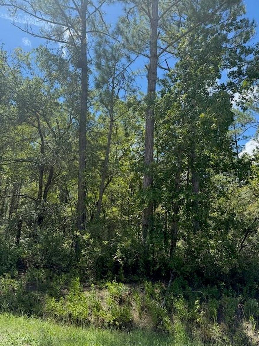 Vacant lot available to build and invest. Great location in between Palm Coast and St Augustine.