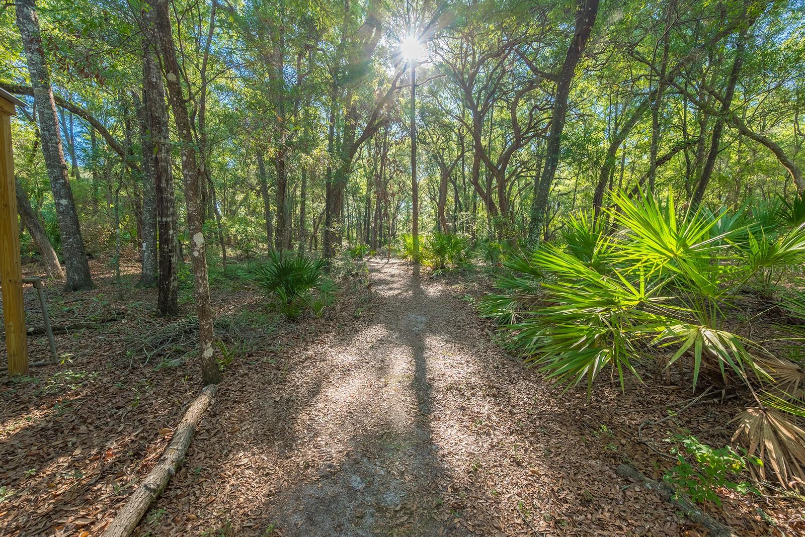 MANATEE OAKS - Residential