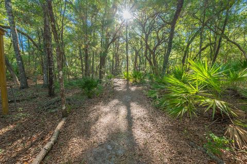 Tiny photo for 13291 NW 86th Avenue, Chiefland, FL 32626 (MLS # GC540469)