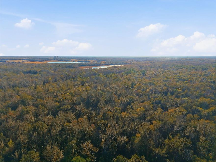 Discover the potential of this gorgeous 10-ACRE wooded parcel tucked away in the heart of Brooksville's natural beauty. HIGH & DRY, this raw, untouched land offers a peaceful setting ideal for future homestead, private estate, or recreational retreat surrounded by mature trees and Florida's native landscape. This property is ready for development with all utilities to be installed by the buyer, allowing complete flexibility in planning and design. Currently landlocked, this parcel presents an excellent opportunity for a buyer to purse legal access via an easement, with professional title services available to assist in evaluating access options and due diligence. Priced aggressively to reflect its size, location, and development potential, this is a rare chance to secure 10 ACRES in Brooksville for those seeking privacy, space, and long-term value.