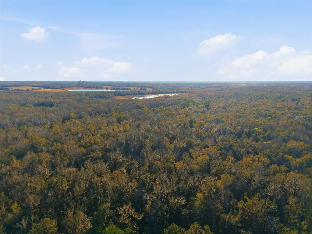 Photo of 0 Thompson Loop, Brooksville, FL 34614 (MLS # W7882822)