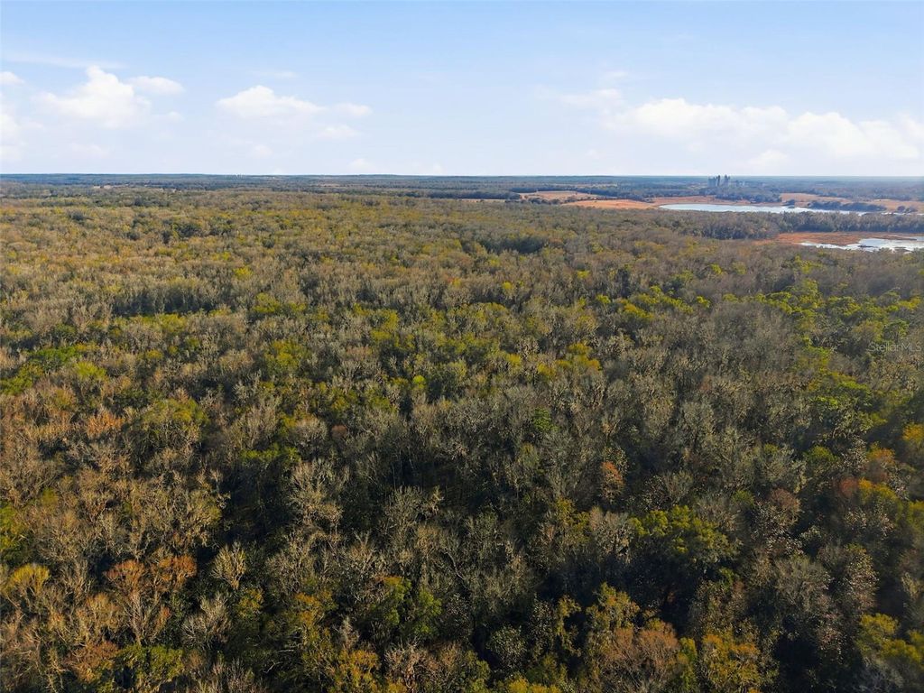 Photo of 0 Thompson Loop, Brooksville, FL 34614 (MLS # W7882822)