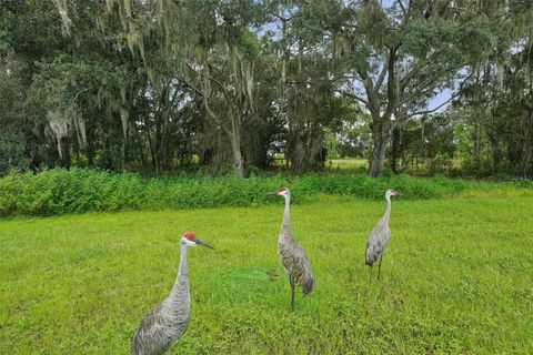 A home in ZEPHYRHILLS