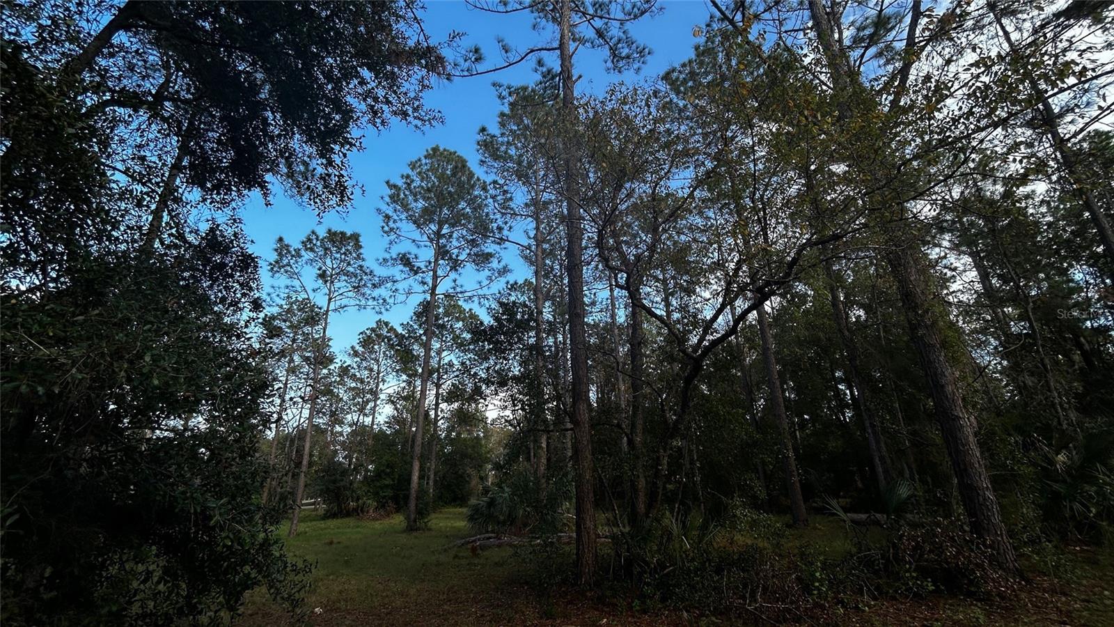 LAKEWOOD RANCHES SUB - Land