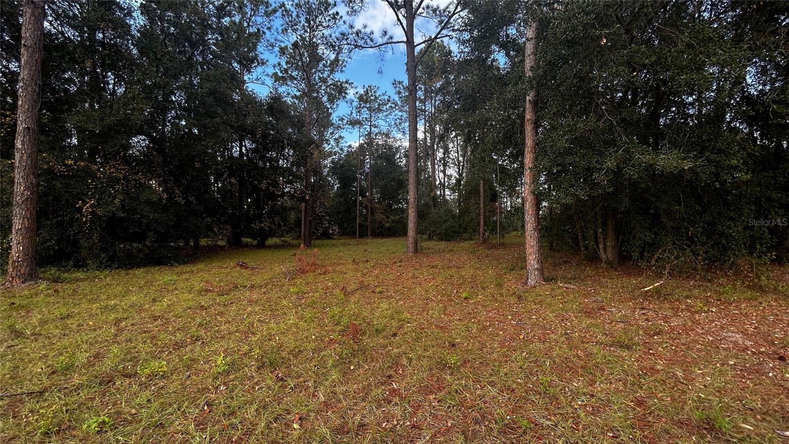 LAKEWOOD RANCHES SUB - Land