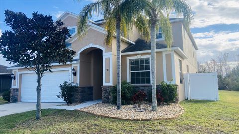 A home in WIMAUMA