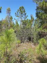 NATURE LOVERS SPECIAL – HIKE, CAMP, HUNT, LIVE WITH NATURE.
Are you looking for recreational property in the middle of nowhere? This has it all: lots of trees, little ponds, wild deer, turkey and boar! Perfect for weekend get-a-ways, where no one will ever bother you (except for the wildlife). Situated directly off of Salyer's Road. Perfect place to raise a little cane out in the woods, and nobody complains! Located deep in the Florida Green Swamp.Take a drive out into the deep country, and see for yourself! Peace and quiet, but still close enough to civilization. Do your own Due Diligence.