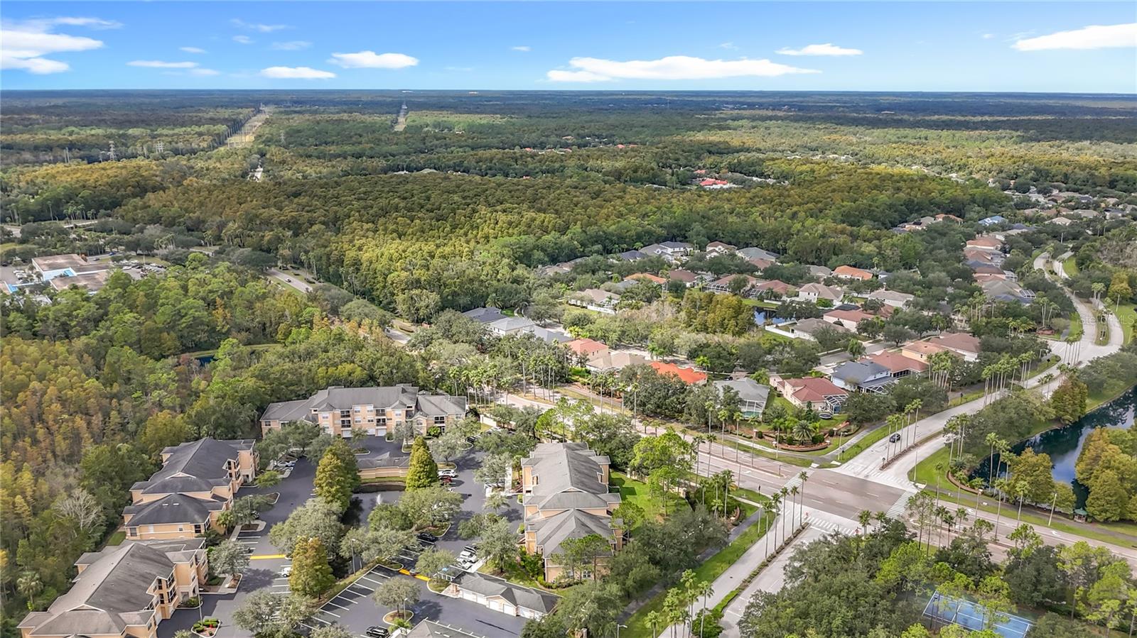 OXFORD PLACE AT TAMPA PALMS A - Residential