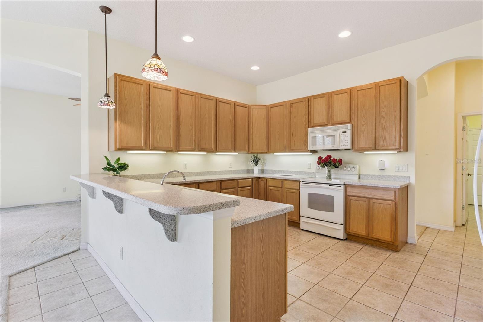 PLANTATION AT LEESBURG BELLE TERRE VILLAGE L - Residential