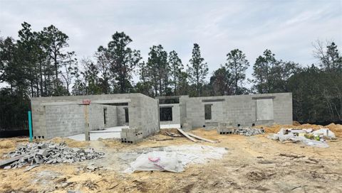 A home in CITRUS SPRINGS