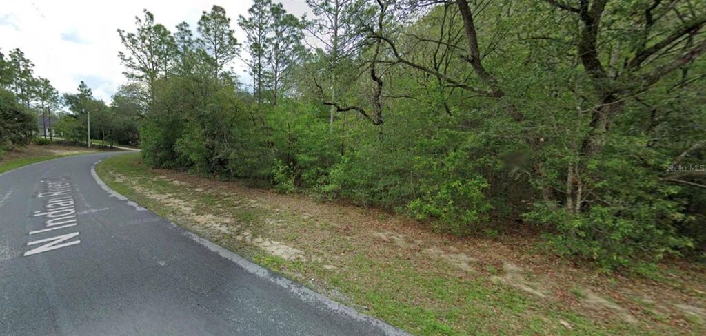 Photo of 4270 N Indianriver Drive, Hernando, FL 34442 (MLS # O6392344)