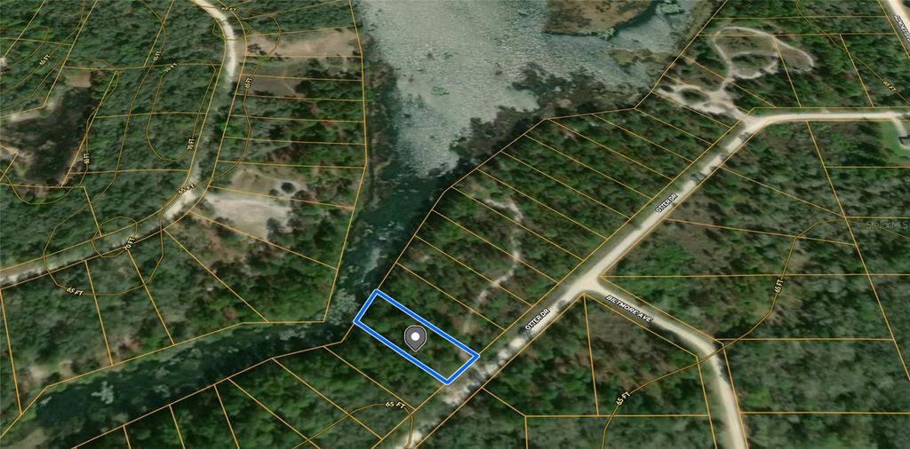 Photo of Otter Drive, Webster, FL 33597 (MLS # G5097685)
