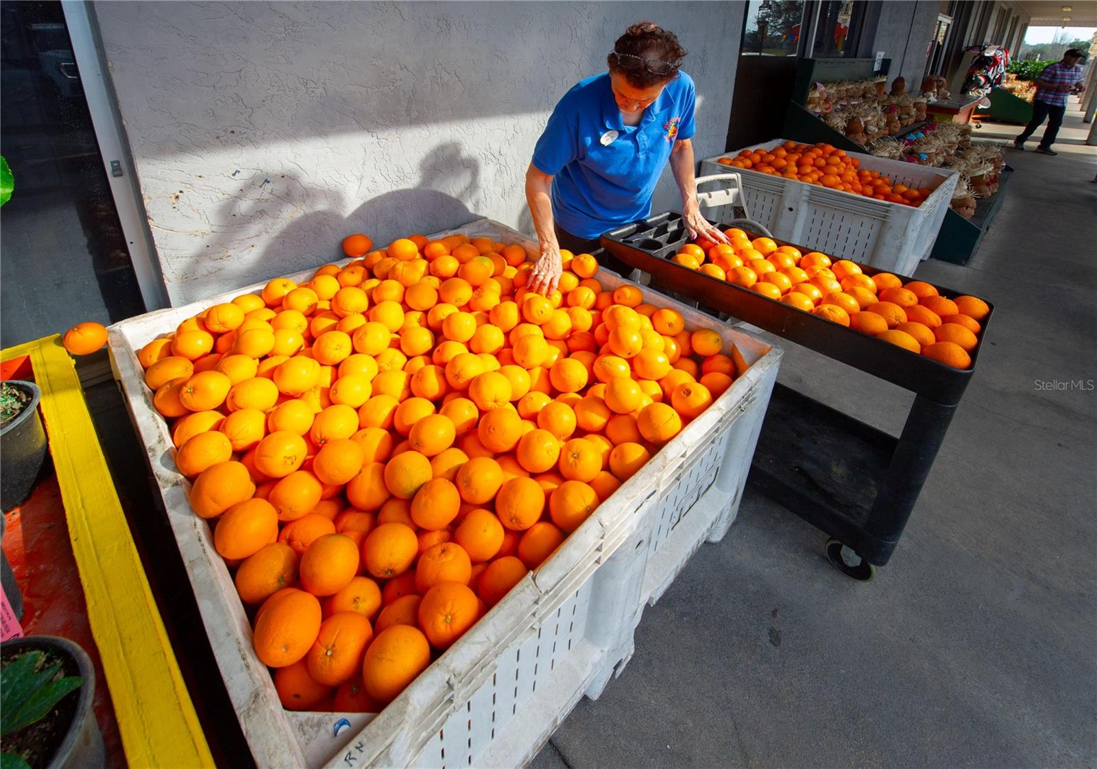 MEADOWBROOK RANCHES - Residential