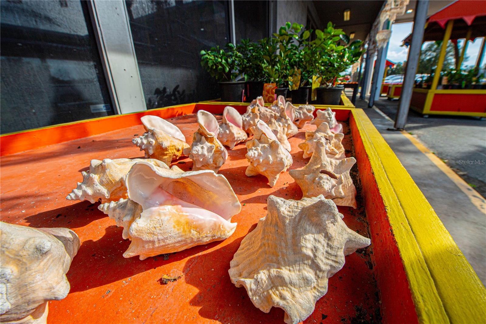 MEADOWBROOK RANCHES - Residential