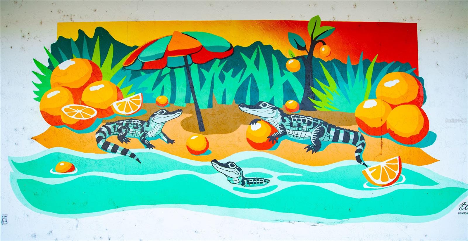 MEADOWBROOK RANCHES - Residential