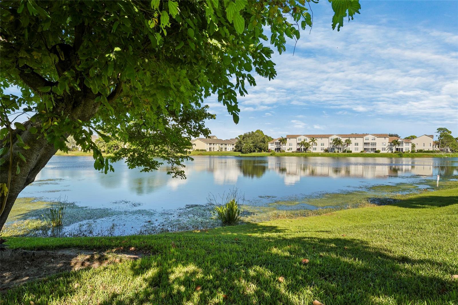 VINTAGE GRAND - Residential