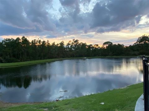 A home in KISSIMMEE